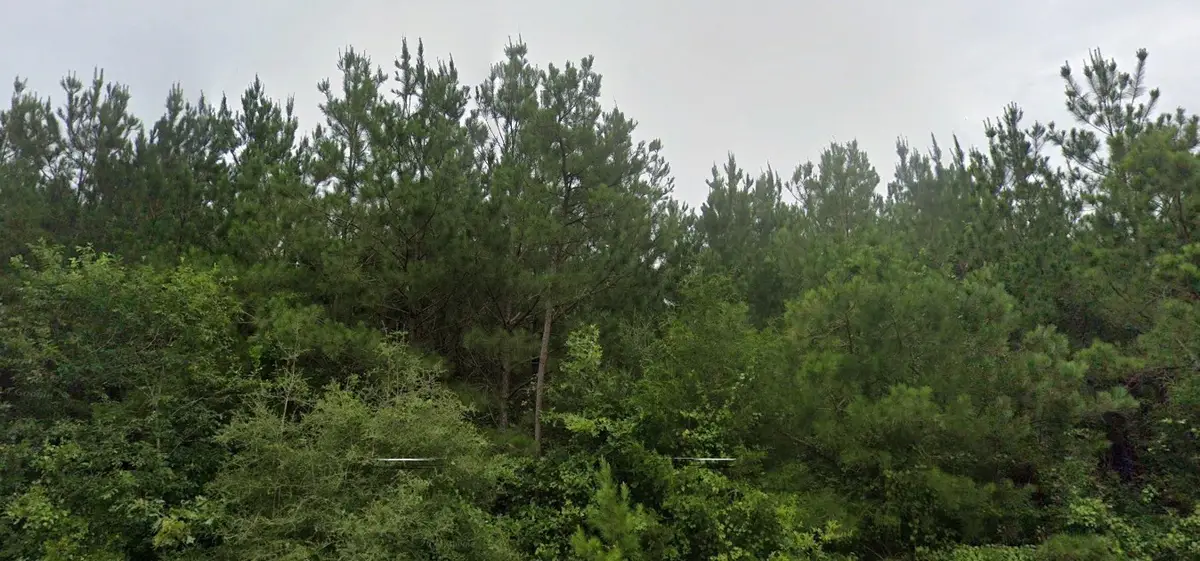 0 Bullard Road, Oakdale, LA 71024 - #1