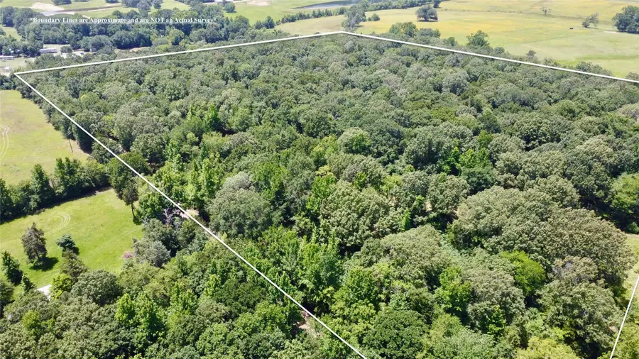 Tract 5 Cr 44400, Powderly, TX 75473 - #2