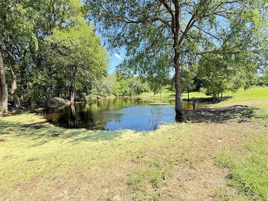 288 County Road 4430, Whitewright, TX 75491 - #3