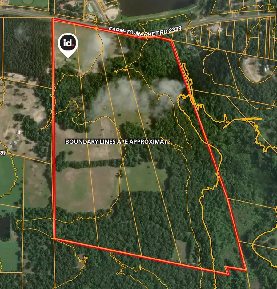 5767 Fm 2339, Murchison, TX 75778 - #3