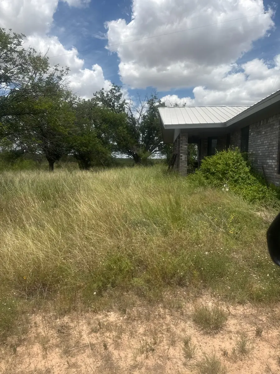 517 County Road 344, Ballinger, TX 76821 - #2