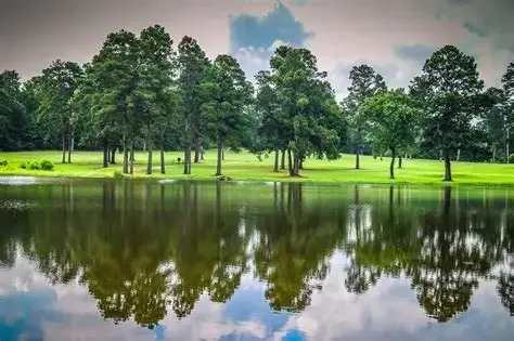 4991 Beechwood Hills Drive, Shreveport, LA 71107 - #2