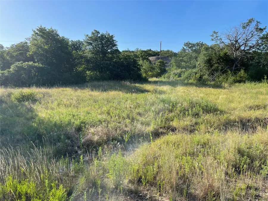 Lot 147 Hidden Shores, Cisco, TX 76437 - #3