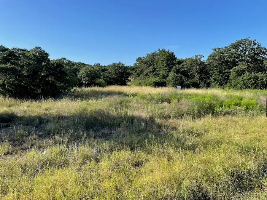 Lot 148 Hidden Shores, Cisco, TX 76437 - #3