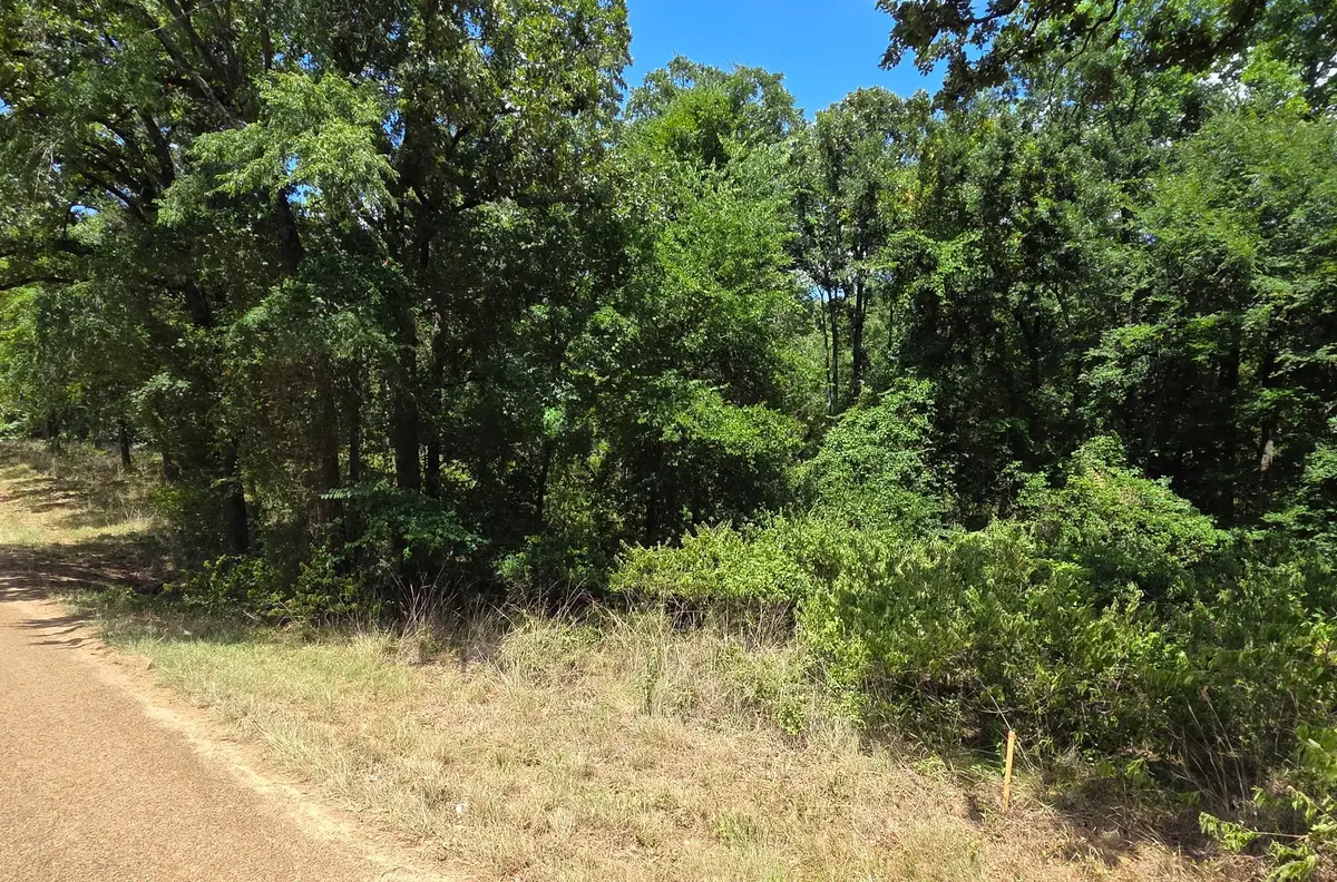 0 Hickory Street #Lot 90, Mabank, TX 75156 - #1