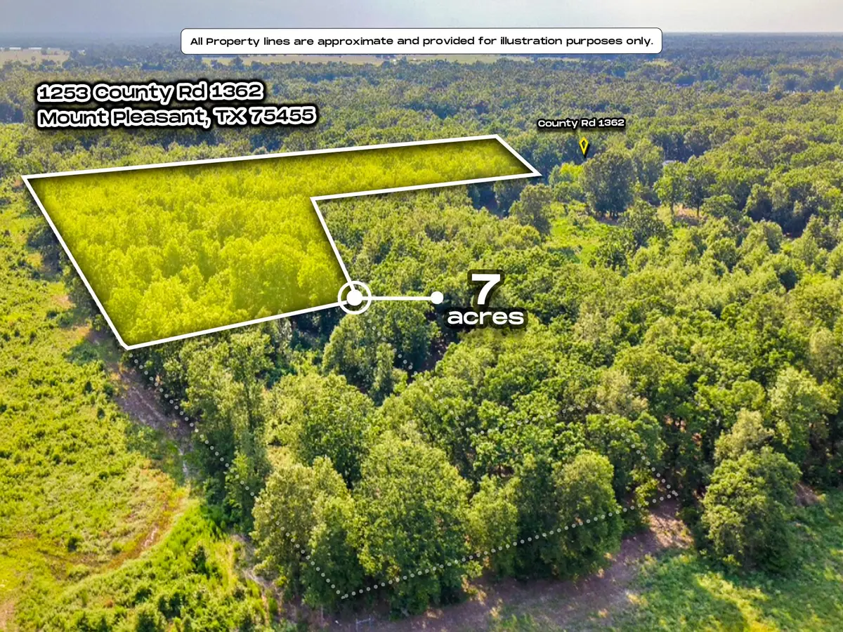 1253 County Road 1362, Mount Pleasant, TX 75455 - #1