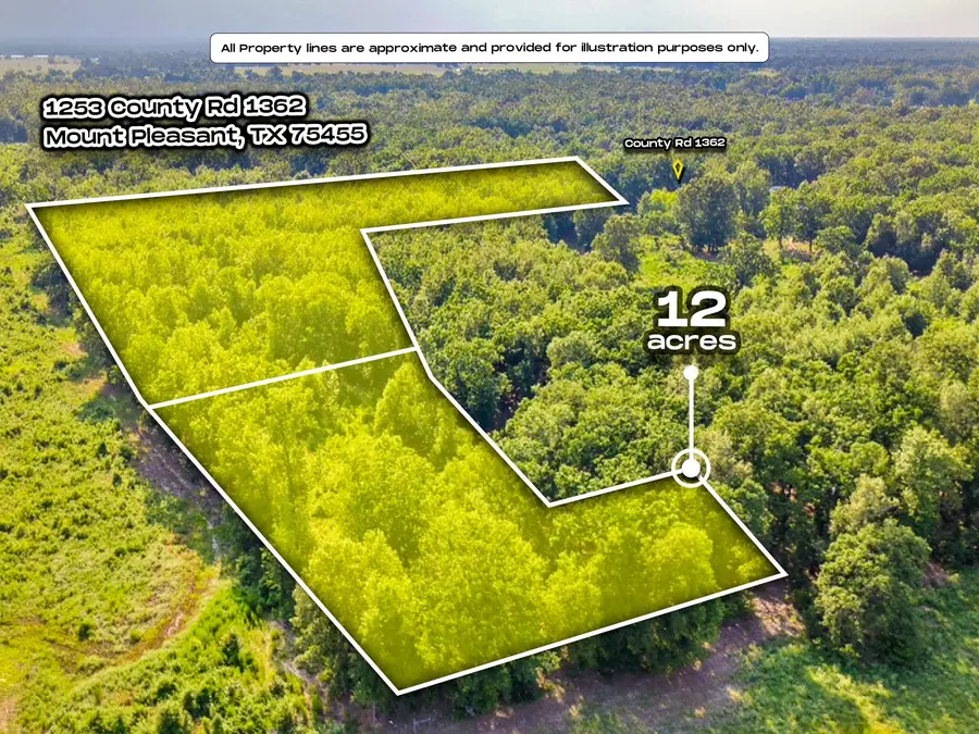 1253 County Road 1362, Mount Pleasant, TX 75455 - #2