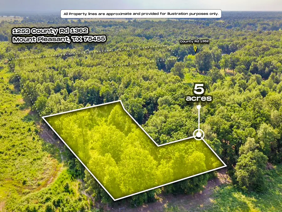 1253 County Road 1362, Mount Pleasant, TX 75455 - #3