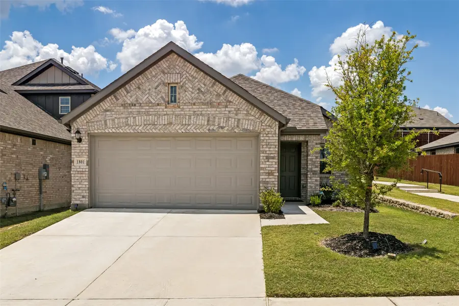 1801 Hazer Lane, Mesquite, TX 75149 - #2