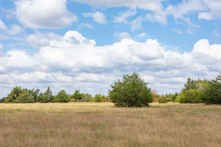 3188 5649, Lone Oak, TX 75453 - #2