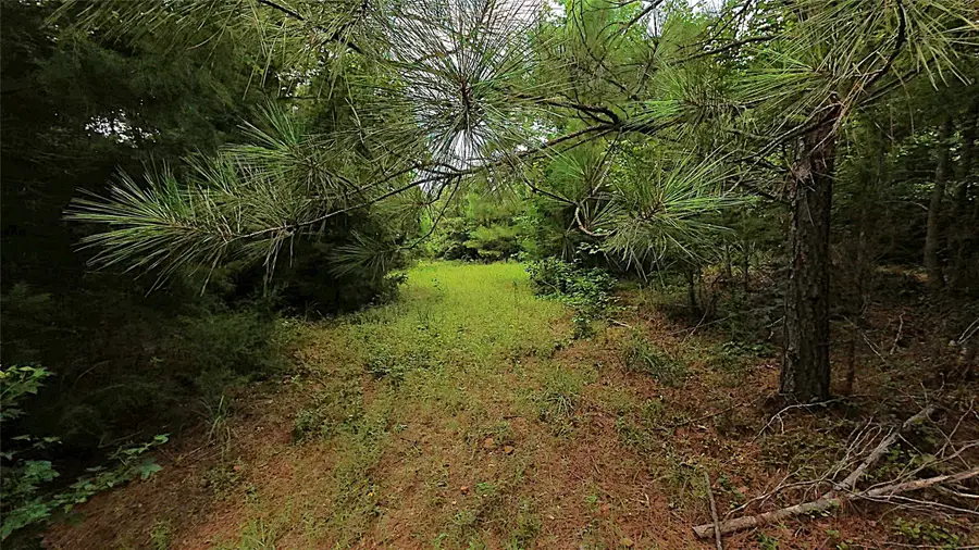 TBD Cr 1640, Jefferson, TX 75657 - #2