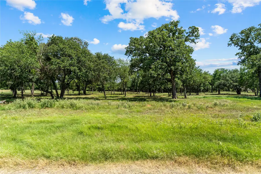 Lot 9 Lakewood Drive, Whitney, TX 76692 - #2