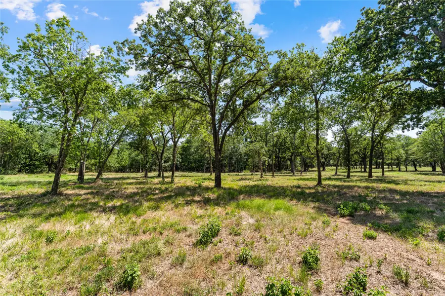 Lot 9 Lakewood Drive, Whitney, TX 76692 - #3