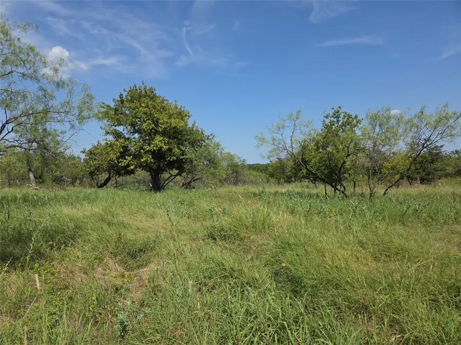 Lot 5-R4 SW County Road, Corsicana, TX 75110 - #2