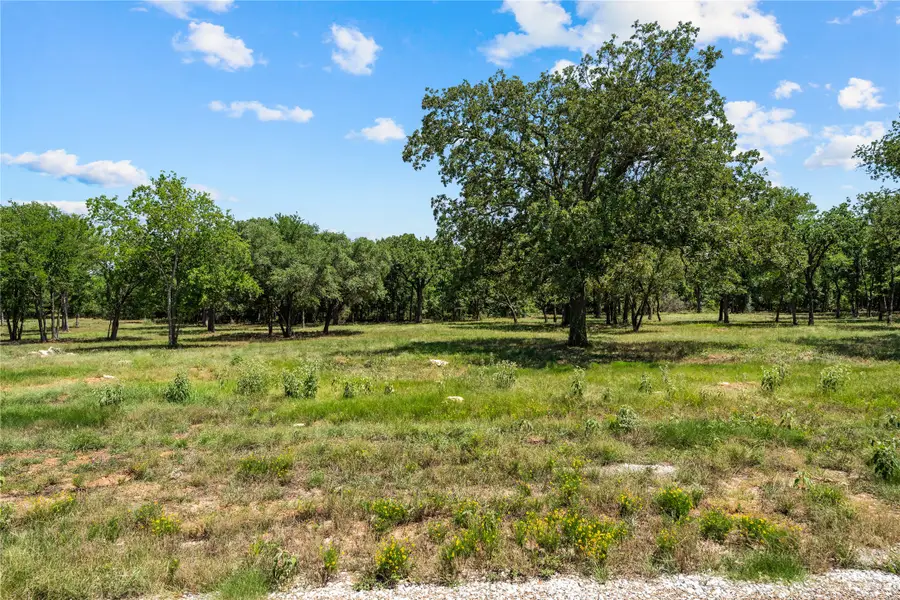 Lot 10 Lakewood Drive, Whitney, TX 76692 - #2
