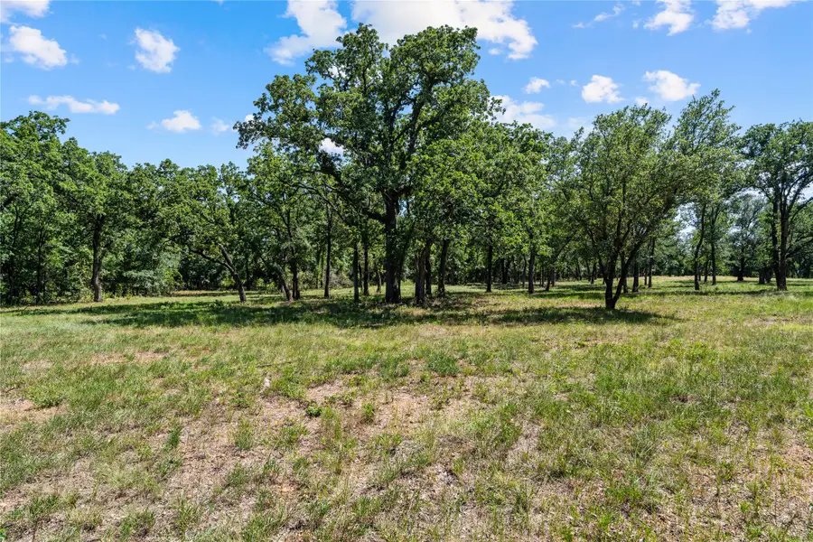 Lot 10 Lakewood Drive, Whitney, TX 76692 - #3