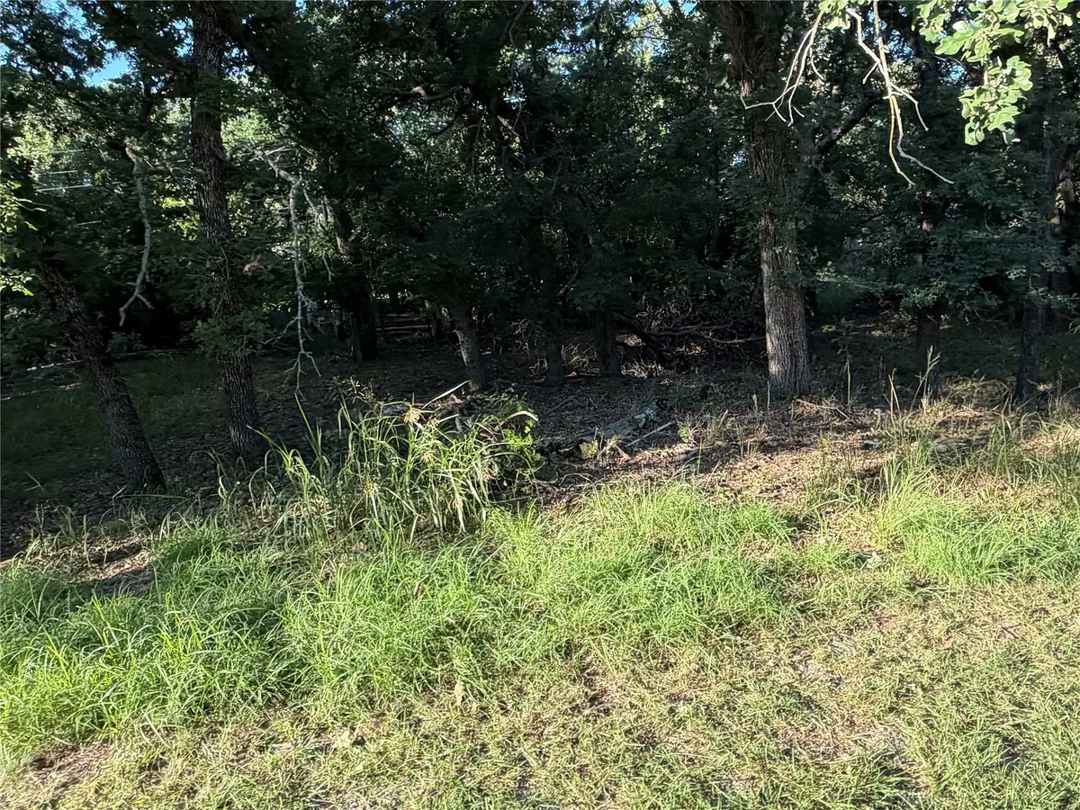 426 Woodwind Drive, May, TX 76857 - #1