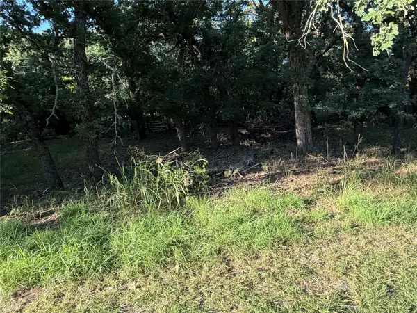 TBD Timberdell Drive, May, TX 76857