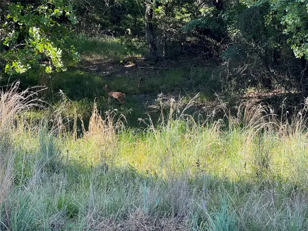 159 Fairway Drive, Nocona, TX 76255