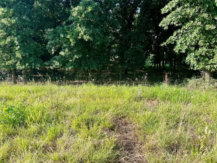 159 Fairway Drive, Nocona, TX 76255 - #2