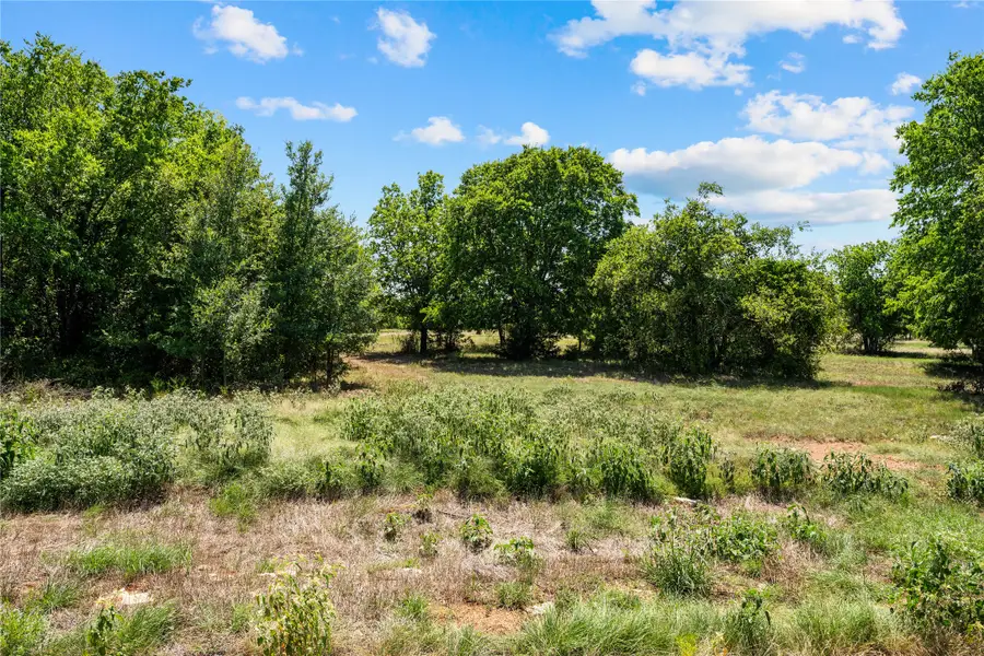 Lot 15 Lakewood Drive, Whitney, TX 76692 - #2