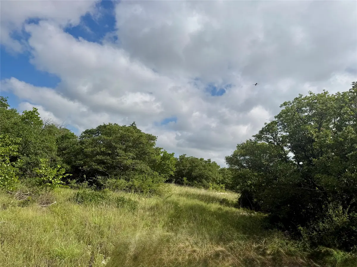 1315 County Road 419, Coleman, TX 76834 - #1