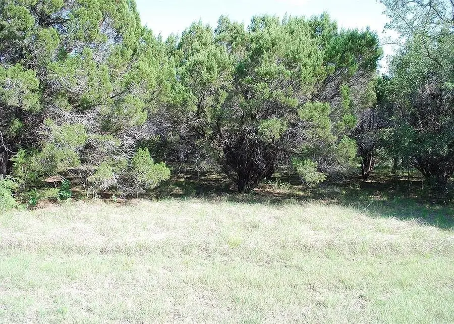 38048 Brookside Drive, Whitney, TX 76692 - #2