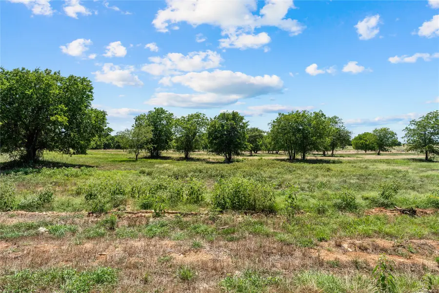 Lot 16 Lakewood Drive, Whitney, TX 76692 - #2