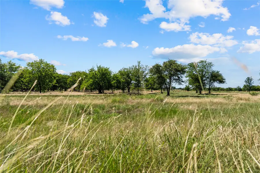Lot 16 Lakewood Drive, Whitney, TX 76692 - #3