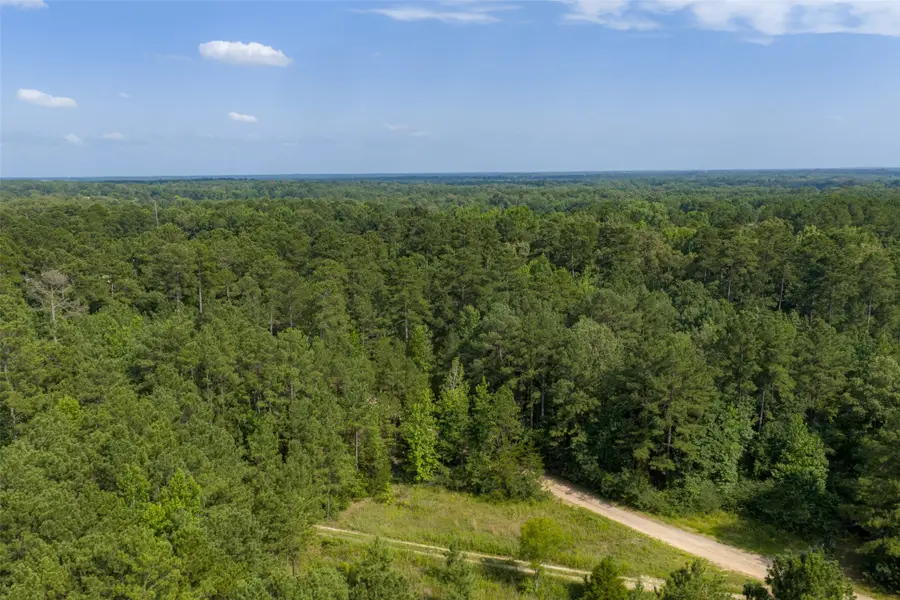 00 County Road 4117, Overton, TX 75684 - #2