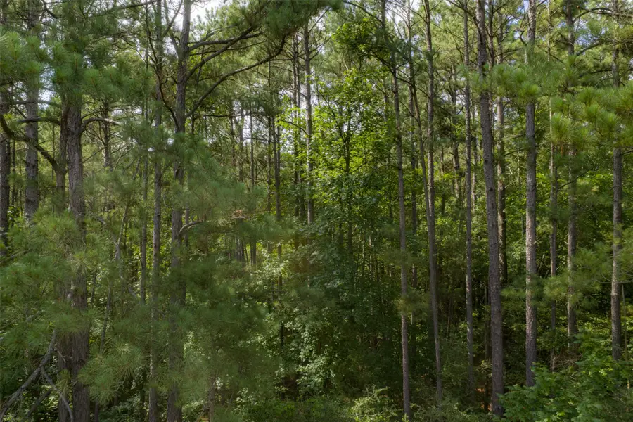 00 County Road 4117, Overton, TX 75684 - #3