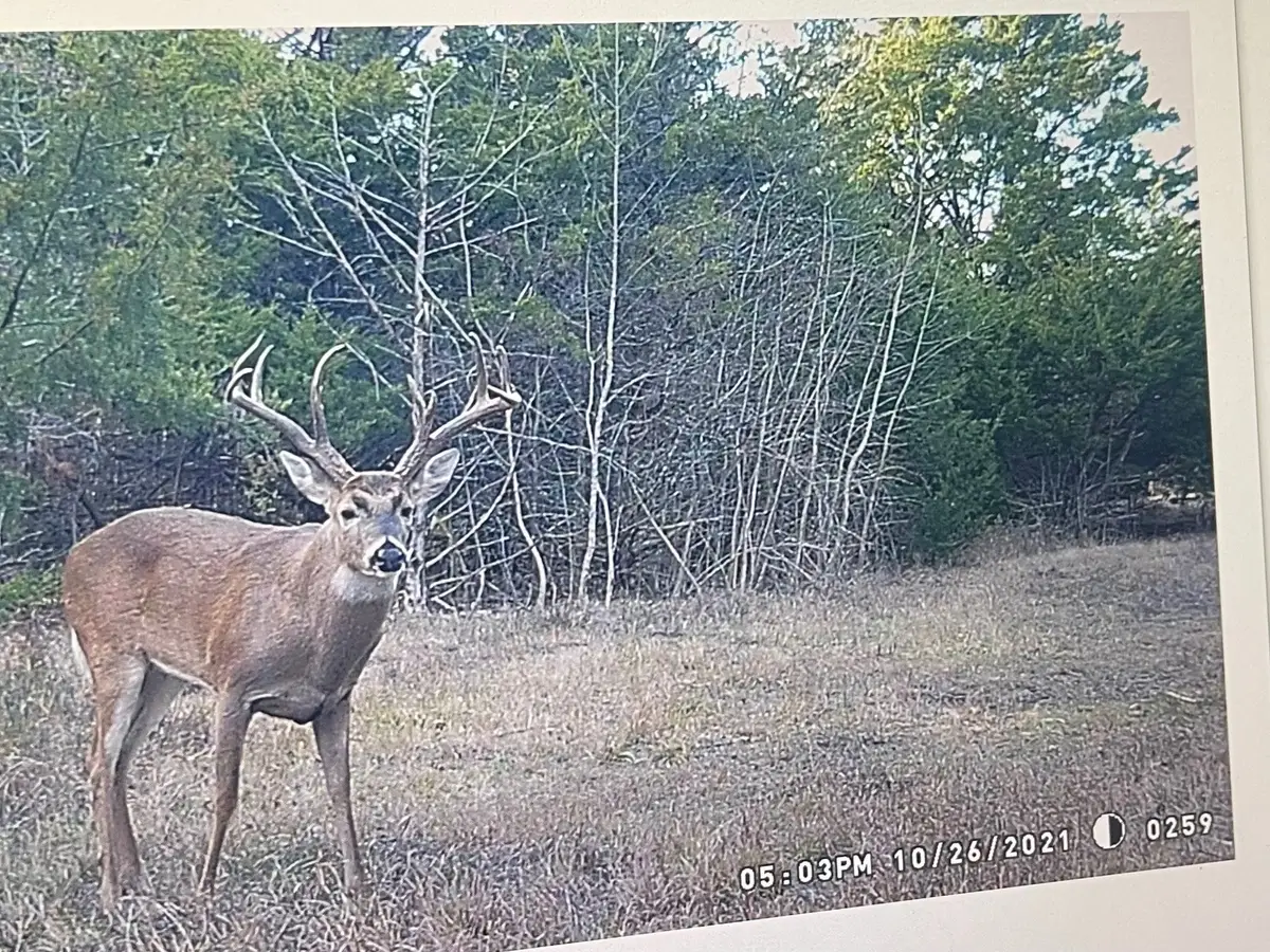0000 Cr 2374, Detroit, TX 75436 - #1