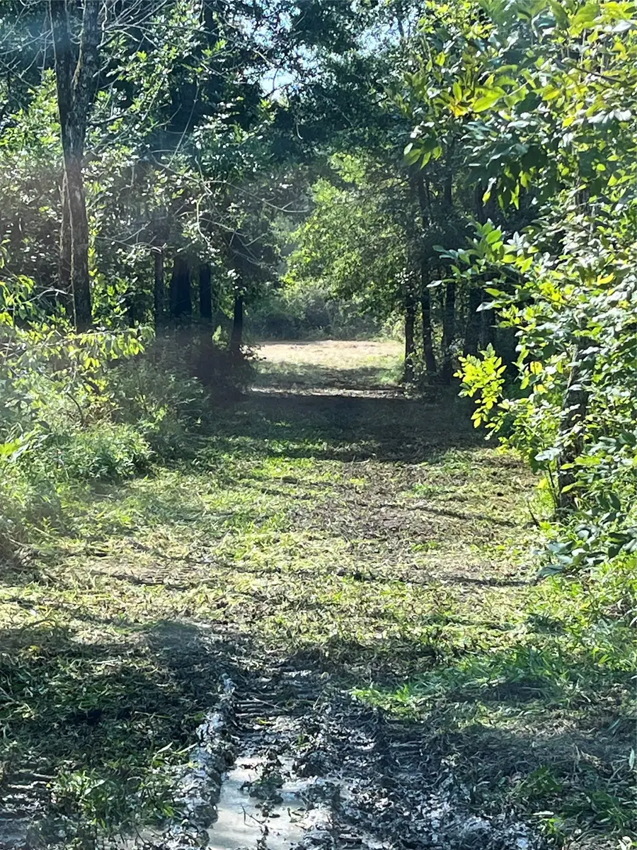 0000 Cr 2374, Detroit, TX 75436 - #2