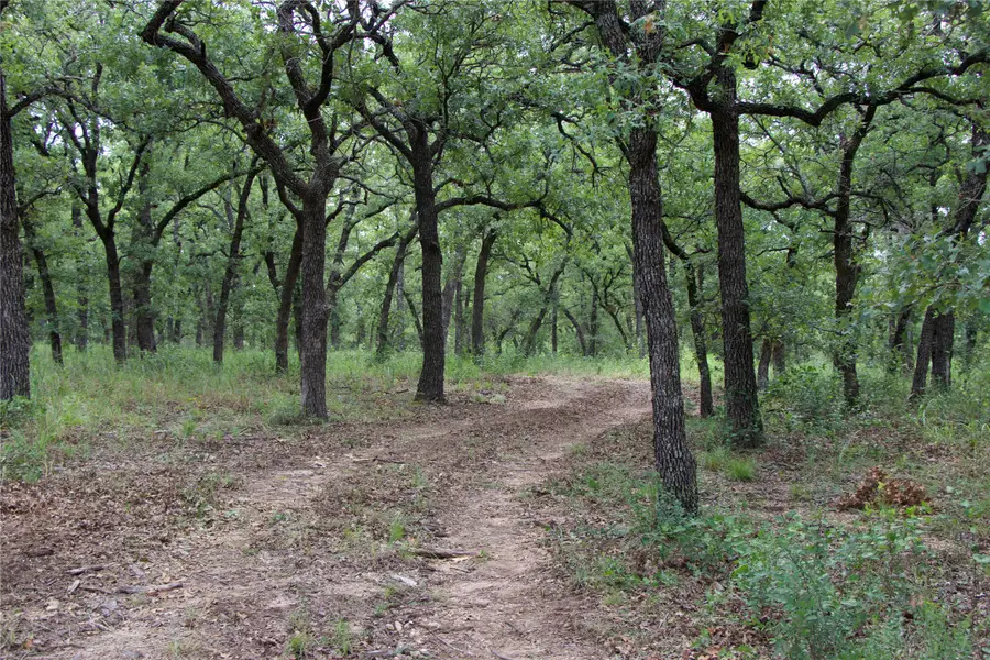 1309 County Road 1895, Sunset, TX 76270 - #3
