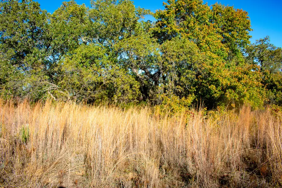 TBD Fm 45, San Saba, TX 76877 - #3