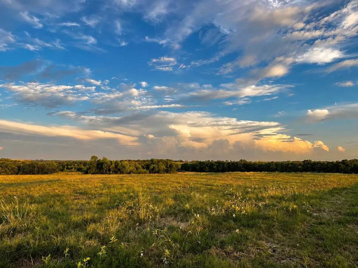 Tract C2-1 County Road 1140, Celeste, TX 75423 - #1