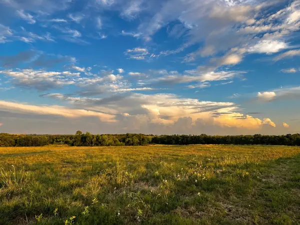 Tract C2-1 County Road 1140, Celeste, TX 75423