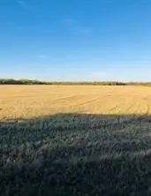 TBD Farm Market 142, Lueders, TX 79533