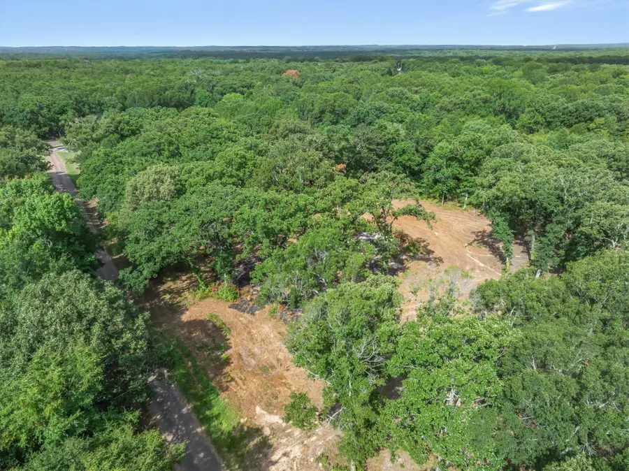TBD County Road 2880, Mineola, TX 75773 - #3
