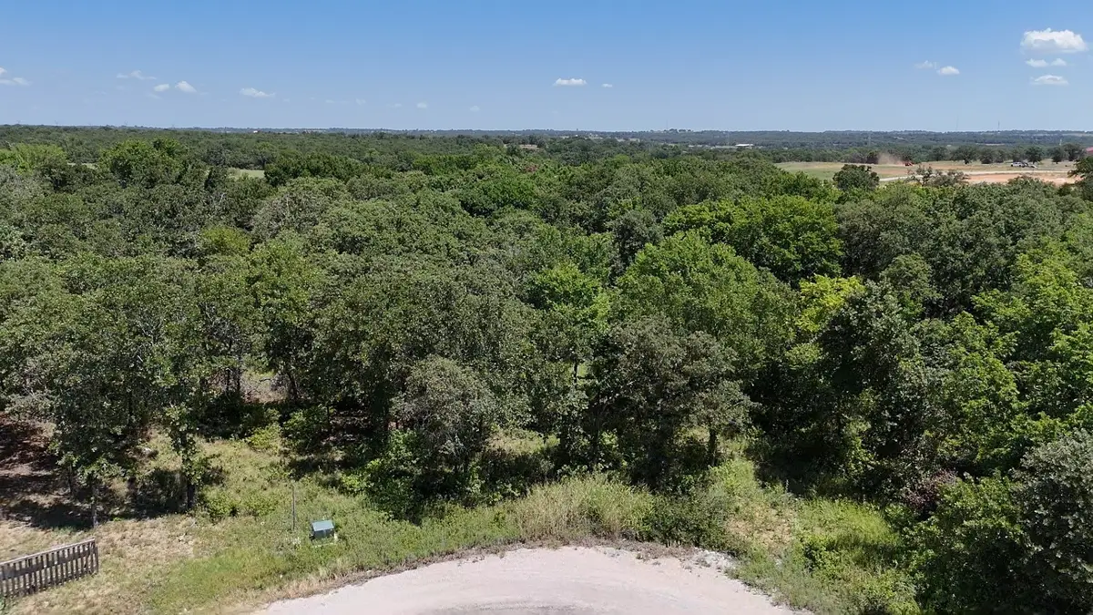 1029 Ironwood Way, Poolville, TX 76487 - #1