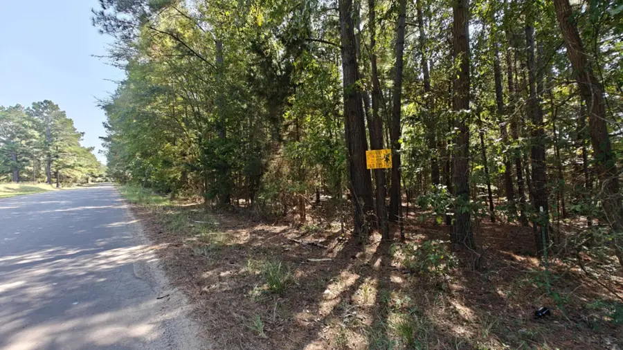 24068 County Road 244, Overton, TX 75684 - #3