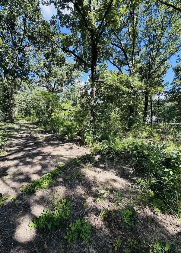 903 Vz County Road 1524, Grand Saline, TX 75140