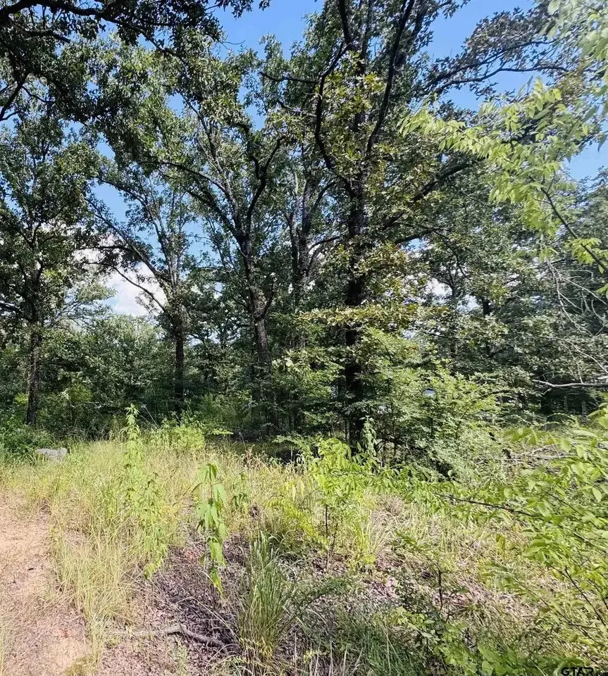 903 Vz County Road 1524, Grand Saline, TX 75140 - #2