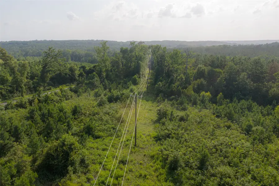 00 County Road 436, Laneville, TX 75667 - #2