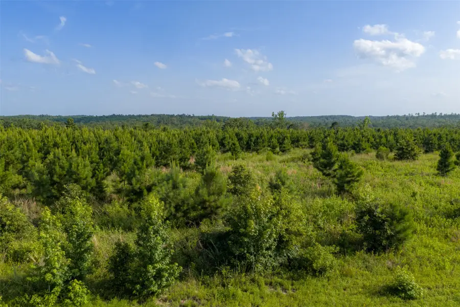 000 County Road 436, Laneville, TX 75667 - #2