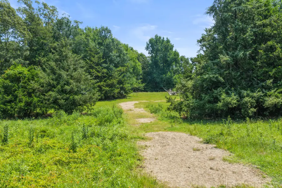 TBD SW Cr 3010, Mount Vernon, TX 75457 - #3