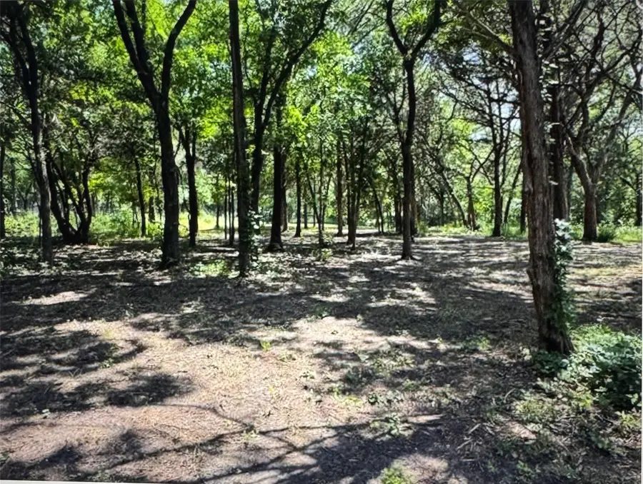 3 Robin, Cedar Hill, TX 75104 - #2