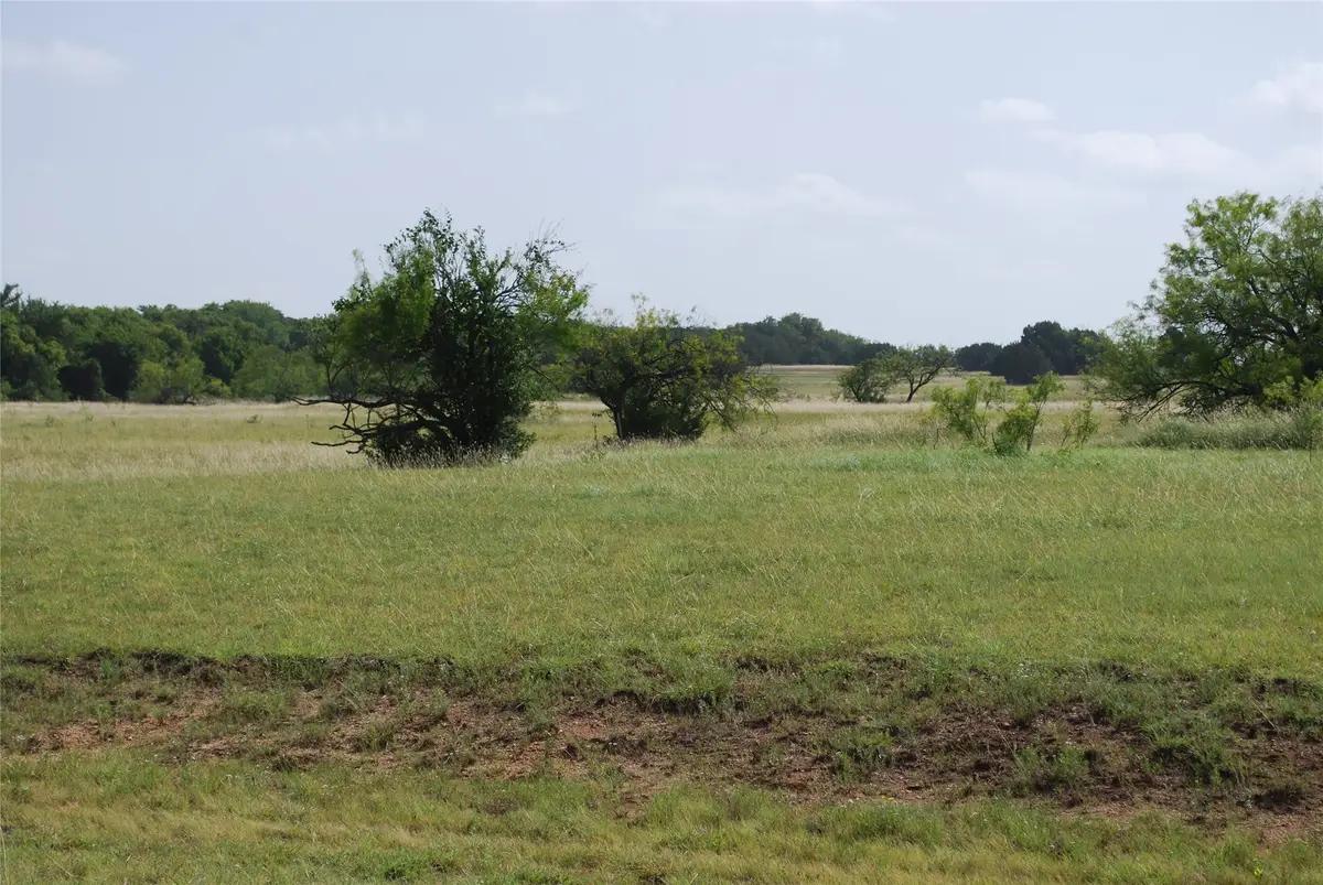 30001 Woodcrest Drive, Whitney, TX 76692 - #1