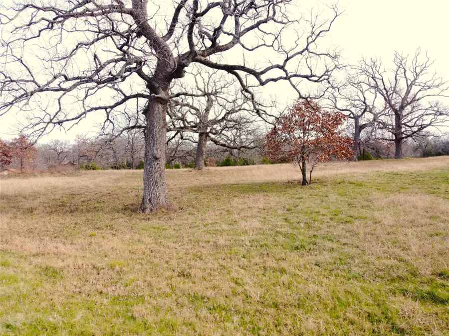 14022 Whatley Drive, Streetman, TX 75859 - #2
