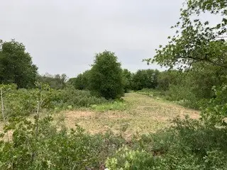 2520 Pr 334, Hawley, TX 79525 - #1